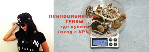 ПСИЛОЦИБИНОВЫЕ ГРИБЫ Нея