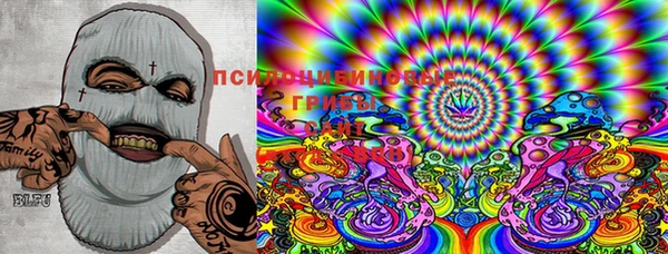 ПСИЛОЦИБИНОВЫЕ ГРИБЫ Нея