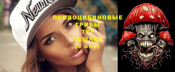 ПСИЛОЦИБИНОВЫЕ ГРИБЫ Нея